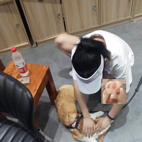 哈皮宠物生活馆:杭州市临平区