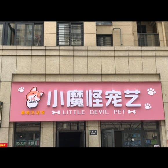 小魔怪宠艺:杭州市临平区