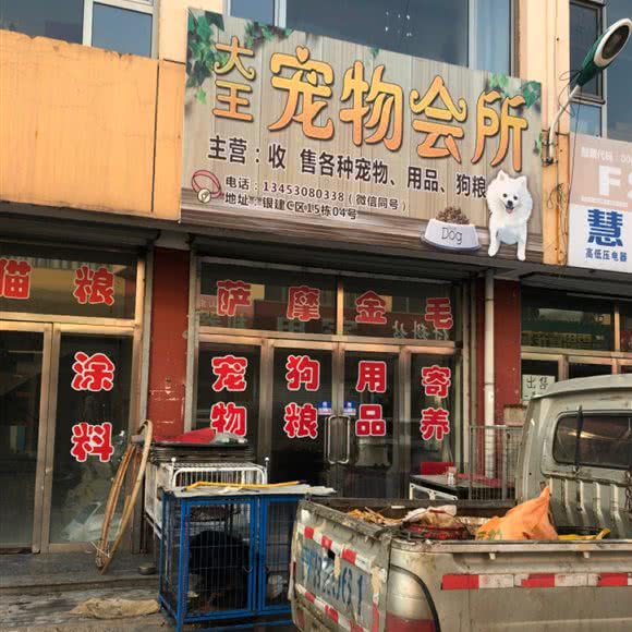 大王宠物会所:朔州市朔城区万人新天地附近
