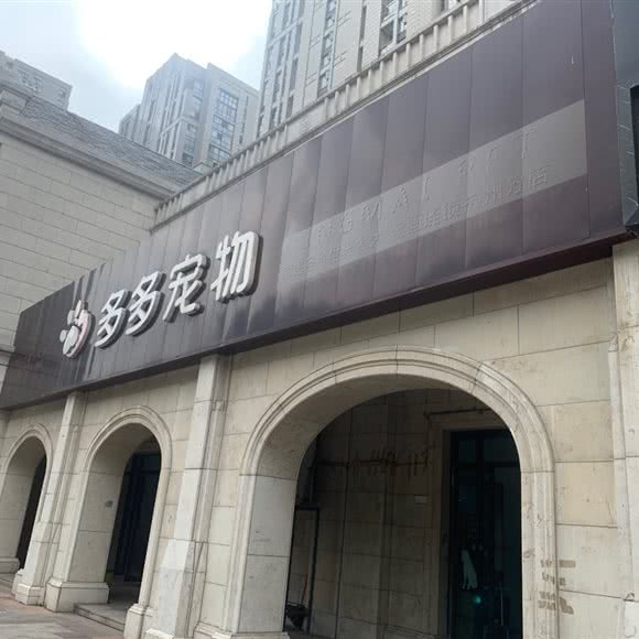 多多宠物(杭州分店):杭州市临平区