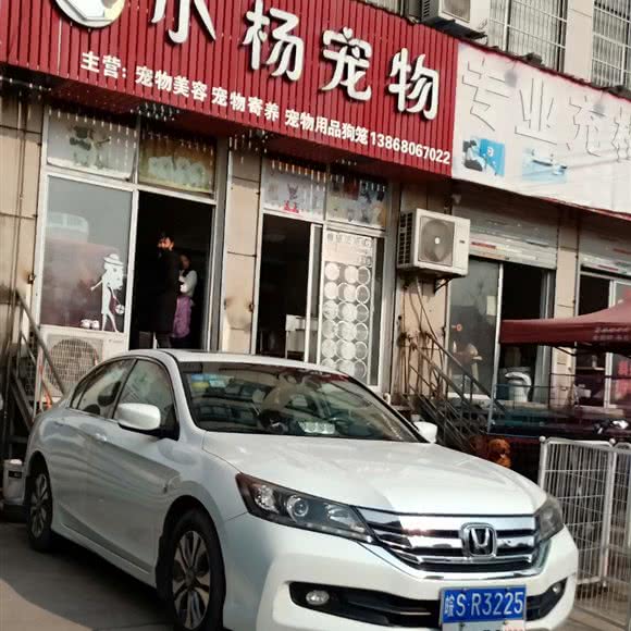 小杨宠物:杭州市临平区