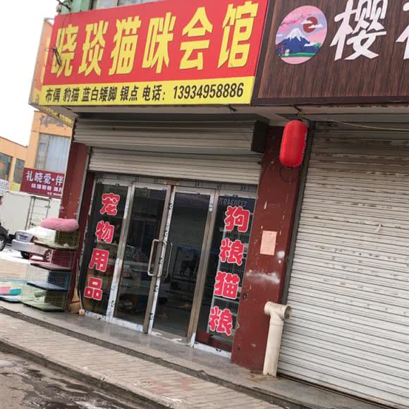 晓琰猫咪会馆:朔州市朔城区万人新天地附近