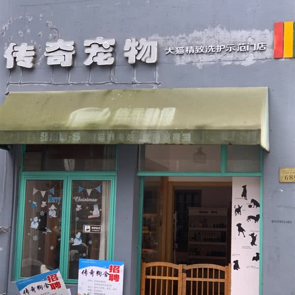 传奇宠物:杭州市桐庐县