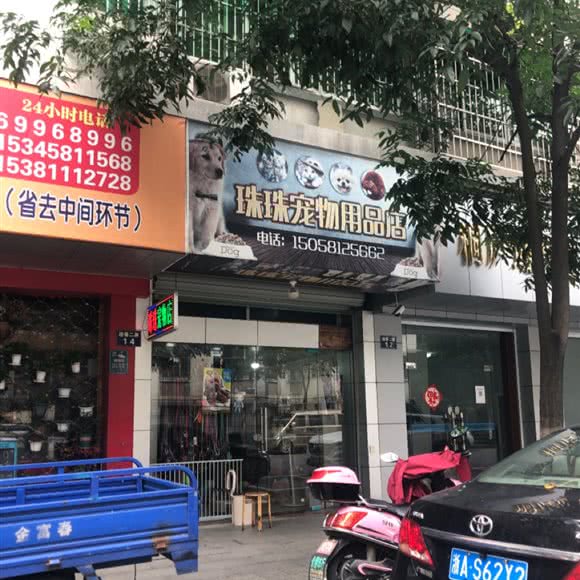 珠珠宠物用品店:杭州市桐庐县