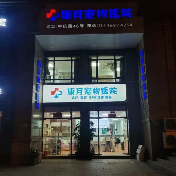 康月宠物医院:杭州市桐庐县