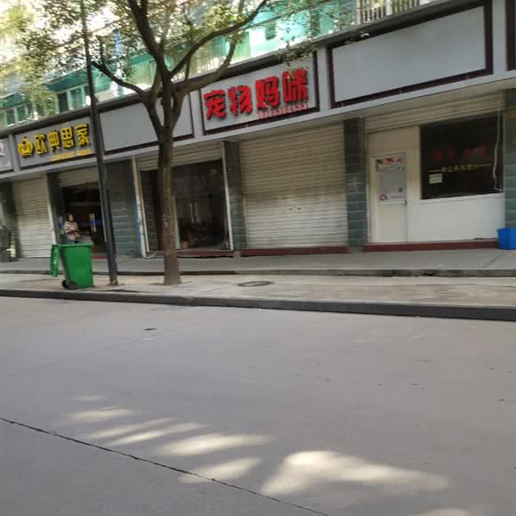 宠物妈咪:杭州市建德市
