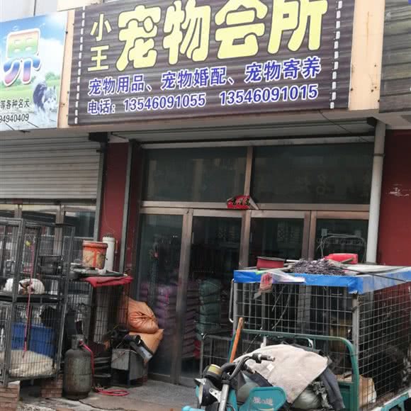 小王宠物会所:朔州市朔城区万人新天地附近