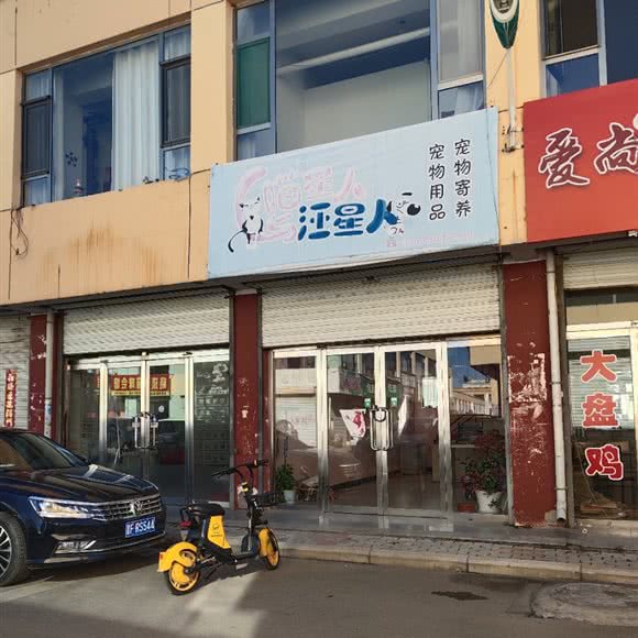 喵星人和汪星人:朔州市朔城区万人新天地附近