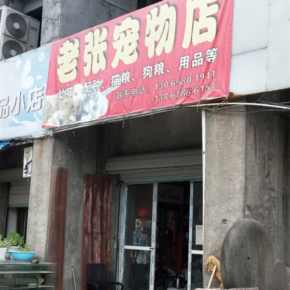 老张宠物店:宁波市江北区