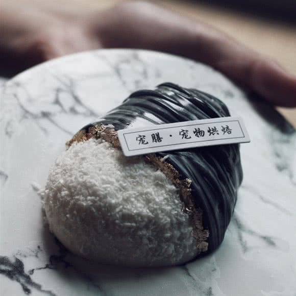 宠膳·宠物烘焙:宁波市江北区
