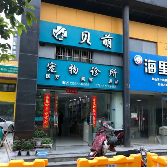 贝萌宠物诊所:宁波市江北区