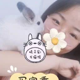 晓卉家龙猫馆:宁波市镇海区