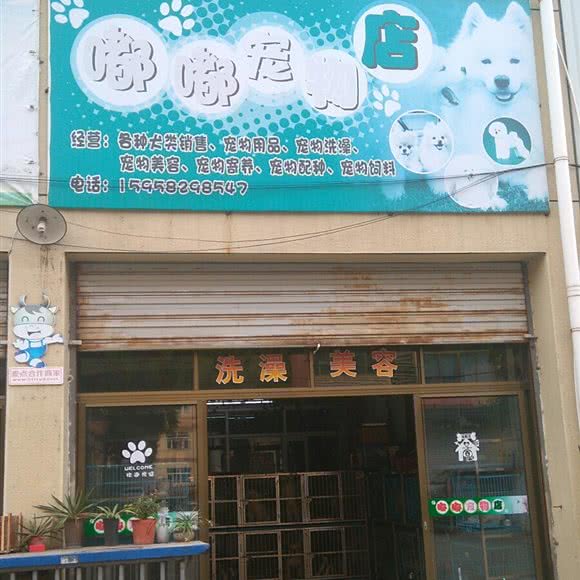 嘟嘟宠物店:宁波市鄞州区