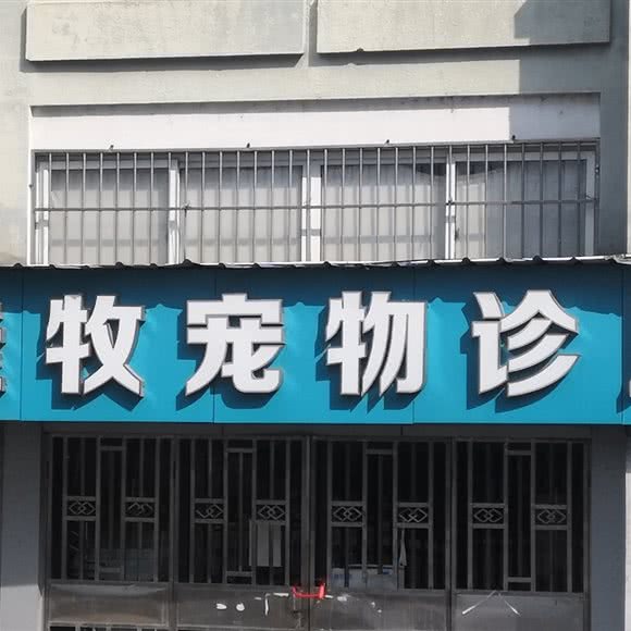 佳牧宠物诊所:宁波市鄞州区