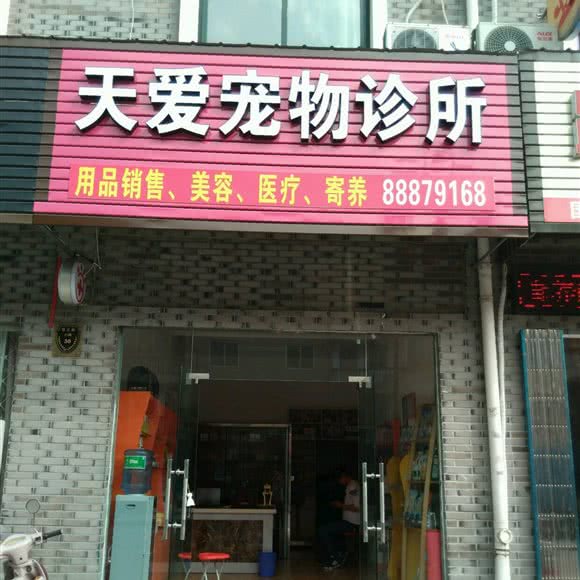 溪口天爱宠物诊所:宁波市奉化区