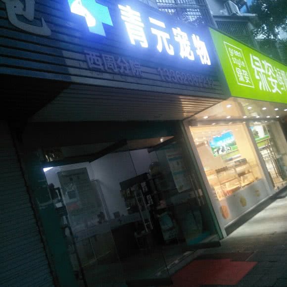 青元宠物(西周分院):宁波市象山县