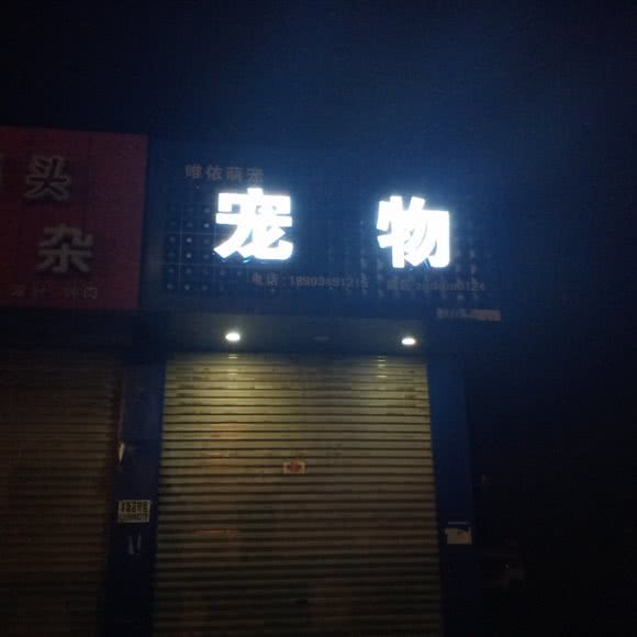唯依萌宠宠物:朔州市怀仁市怀仁市附近