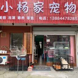 小杨十家宠物:宁波市余姚市