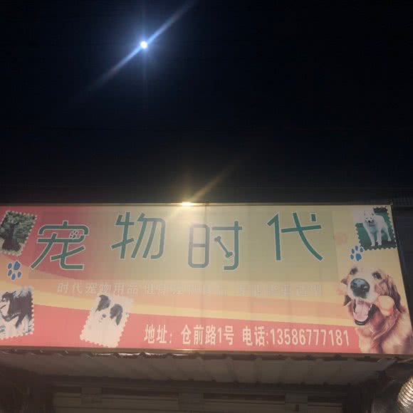 宠物时代(仓前路):宁波市余姚市