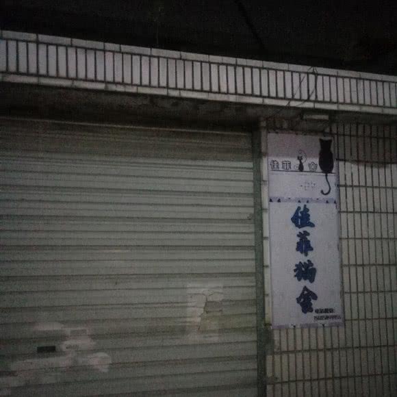 佳菲猫舍:宁波市余姚市