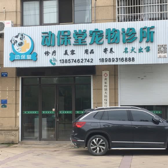 动保堂宠物诊所:宁波市余姚市