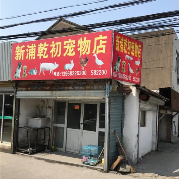 新浦乾初宠物店:宁波市慈溪市