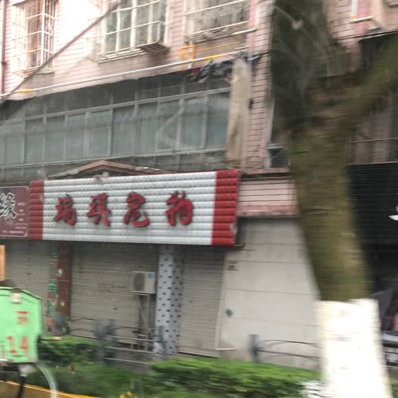 瑞琪宠物:宁波市慈溪市
