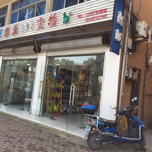 慈溪121宠物:宁波市慈溪市