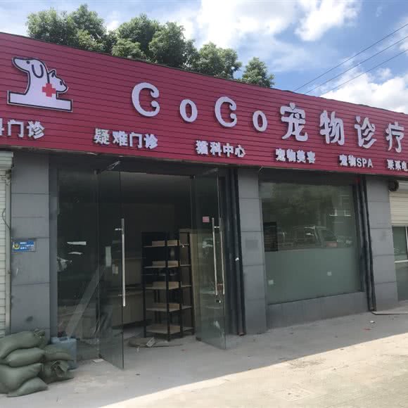 coco宠物诊疗中心:宁波市慈溪市