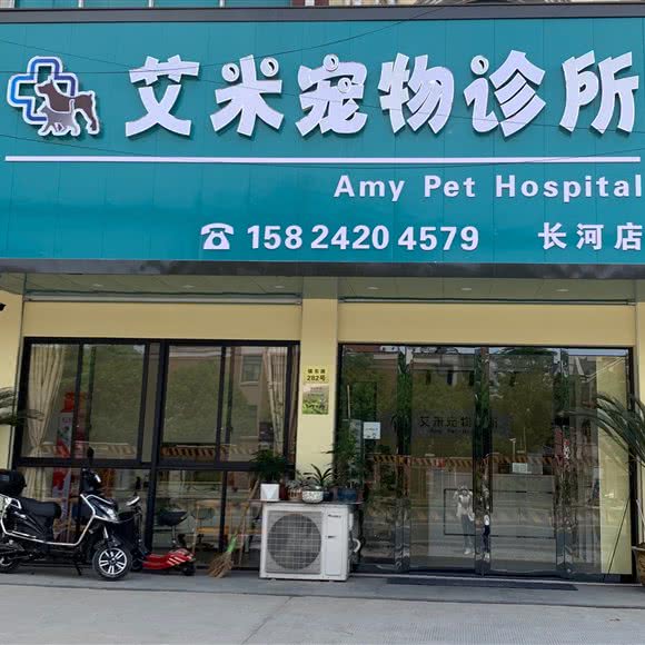 艾米宠物诊所:宁波市慈溪市
