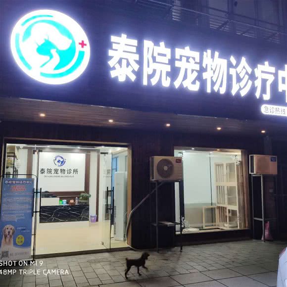 泰院宠物诊疗中心:宁波市慈溪市