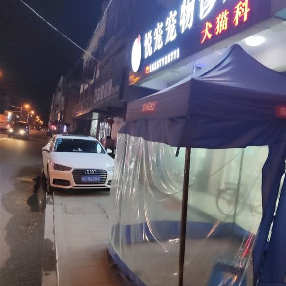 悦宠宠物诊所:温州市洞头区