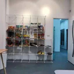 萌剑齿虎宠物店:温州市平阳县