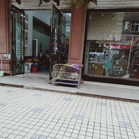 萌许宠物用品店:温州市平阳县
