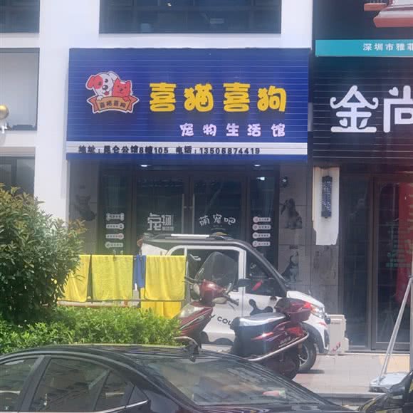 喜猫喜狗:温州市平阳县