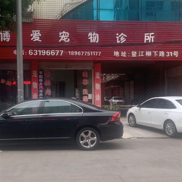 博爱宠物诊所:温州市平阳县