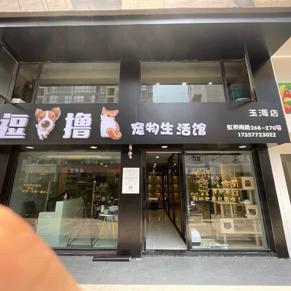 逗撸宠物生活馆(王海店):温州市瑞安市