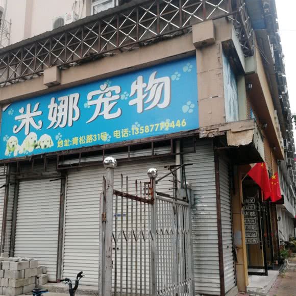 米娜宠物:温州市瑞安市