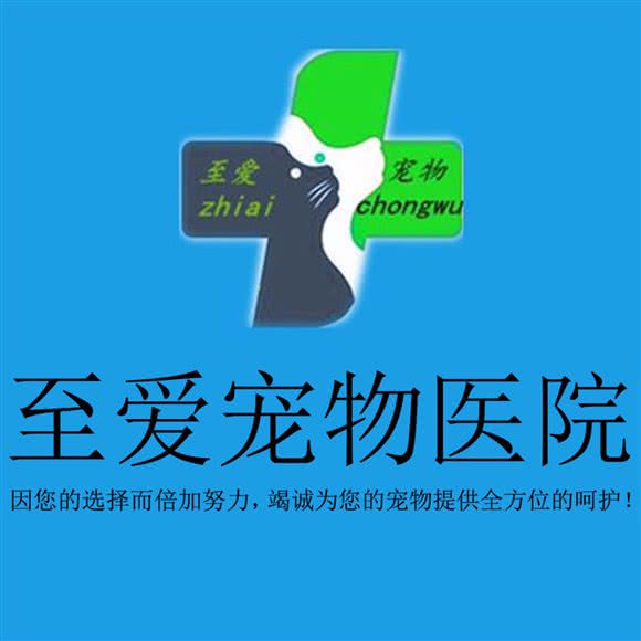 至爱宠物医院(瑞安店):温州市瑞安市