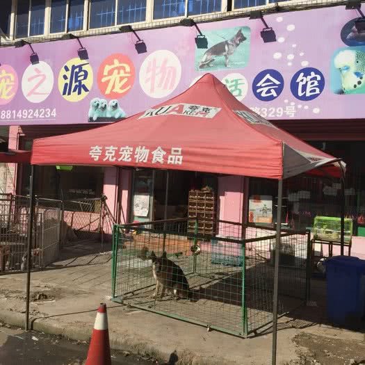 宠之源宠物生活会馆:温州市乐清市