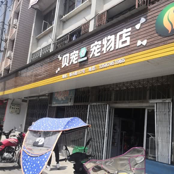 贝宠宠物店(虹桥店):温州市乐清市