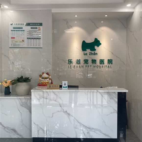 乐湛动物医院(虹桥店):温州市乐清市