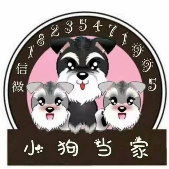 小狗当家宠物生活馆:晋中市榆次区榆次区附近