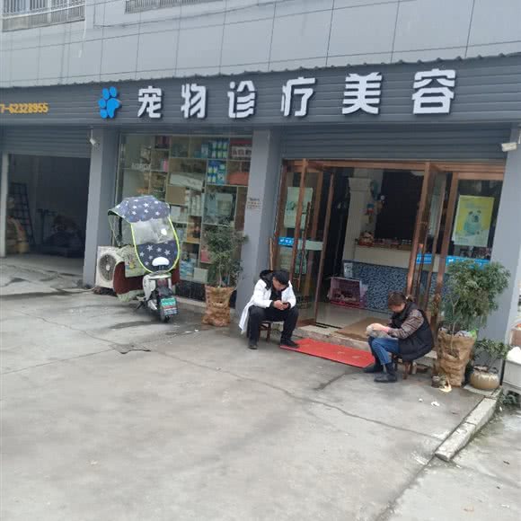 宠物诊疗美容:温州市乐清市