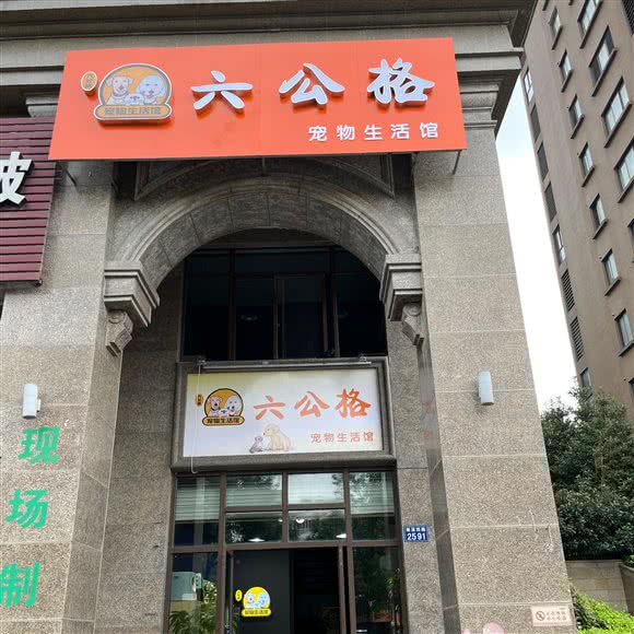 六公格宠物:嘉兴市南湖区