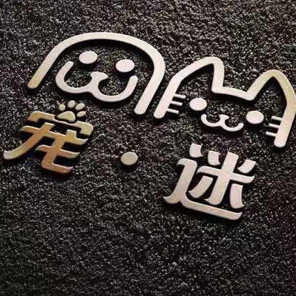 宠迷:嘉兴市南湖区