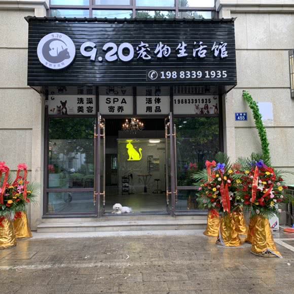 9.20宠物生活馆:嘉兴市南湖区