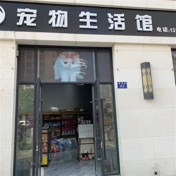 宠小生宠物生活馆:嘉兴市秀洲区