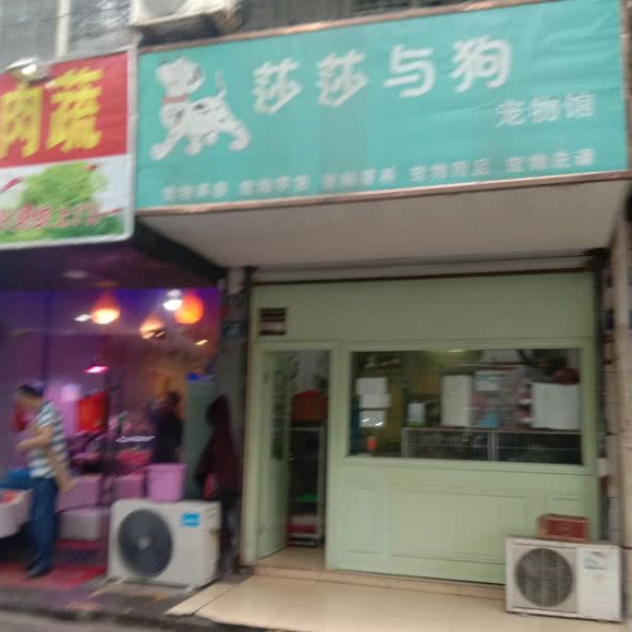 莎莎与狗宠物馆:嘉兴市嘉善县
