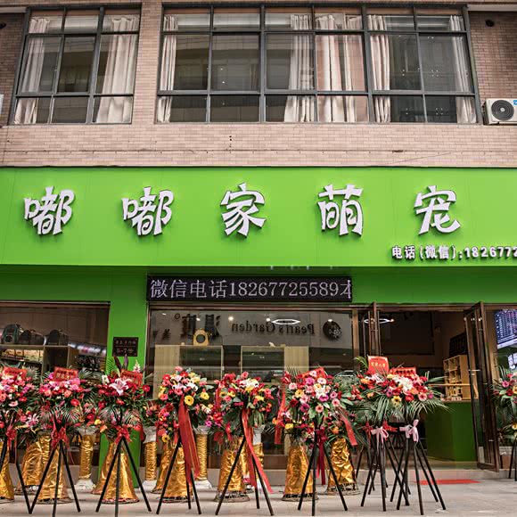 嘟嘟家萌宠:嘉兴市平湖市